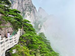 -黄山风景区