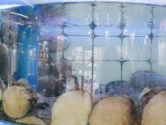 -日照大牌檔•小船海鲜(万平口店)