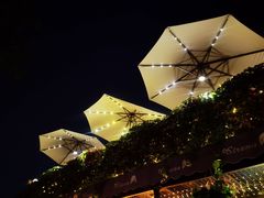 -Sirena海妖日咖夜酒