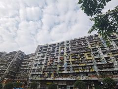 -黄桷坪涂鸦艺术街