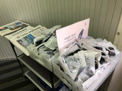 -新加坡航空公司(ION)