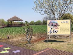 -梁鸿国家湿地公园