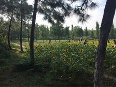 -艾溪湖湿地公园