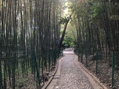 -四门塔风景区