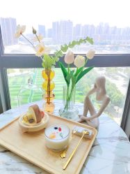 -敦南舒悦月子会所(南湖店)