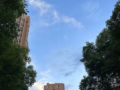 -雅悦齿科(顾村公园店)