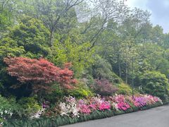 -中国茶叶博物馆(双峰馆区)