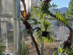 -国家植物园南园