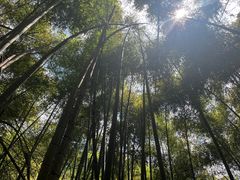 -会稽山峡洞漂流-上青古道