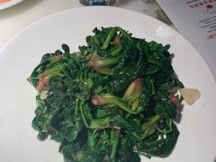 本地菠菜-佬肥猫(国华广场店)