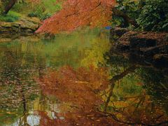 -秋霞圃