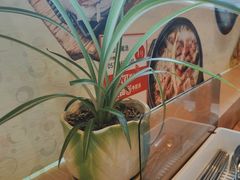 -大田牛尾汤(幸福河市场店)