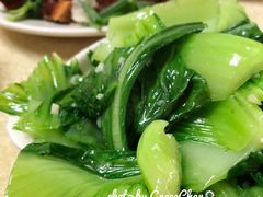 生炒水东芥菜-津津食品店