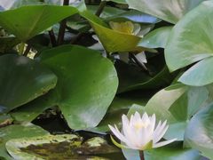 游乐设施-南唐二陵