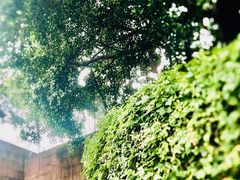 -南越王博物院