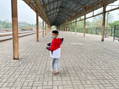 -白水寺森林公园