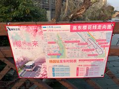 -高东镇樱花园