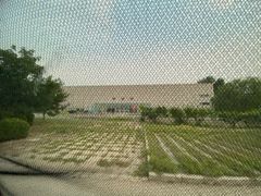 -朝阳体育中心