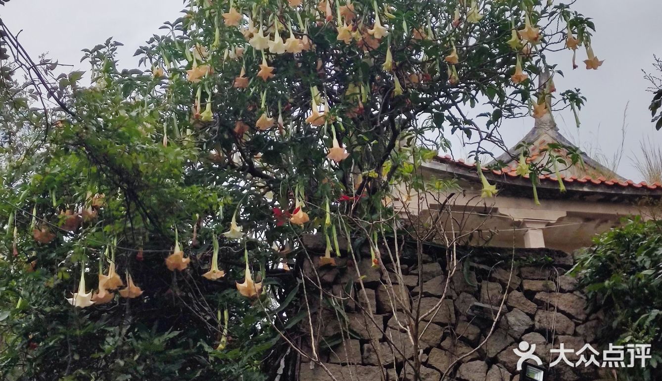 登高而望远，美不胜收，旅游不过就是看看山看看海。看看自己所在