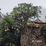 登高而望远，美不胜收，旅游不过就是看看山看看海。看看自己所在