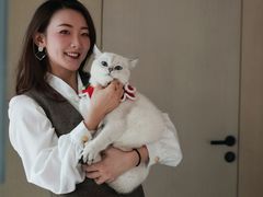 -深圳国际会展中心希尔顿酒店(前海华发冰雪世界店)