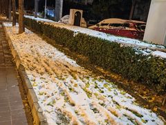 -包装马车·韩国料理·포장마차