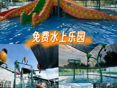 -海合安武汉极地海洋公园