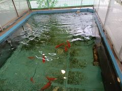 -伟记牛蹄(道滘店)