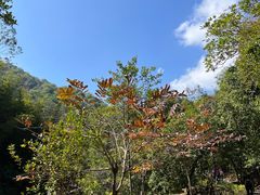 -广州白江湖森林公园