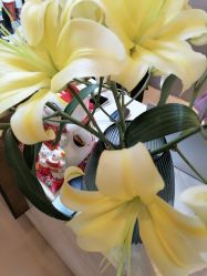 -FineYoga梵音瑜伽·普拉提