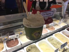 -Dooley's Premium Ice Cream