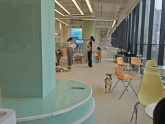 -怪兽屋·羊驼·猫咖·狗咖(俊华广场店)