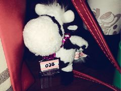 鞋柜钥匙-古都梅按摩足浴(世界广场店)