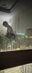 -安丽国际月子会所