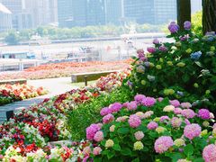 -北外滩滨江绿地