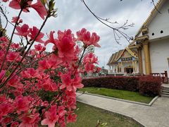 -报恩禅寺