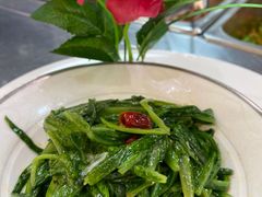 油麦菜-西安外国语大学-学生食堂