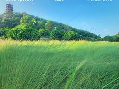 -红花山公园