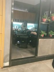 -时尚殿堂明星门店