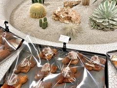 -OUR Bakery(SKP-S店)