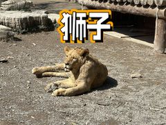 -上海野生动物园