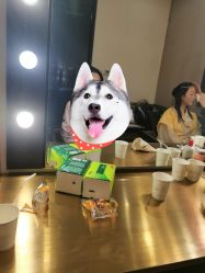 -盘子女人坊古装写真摄影(天津总店)