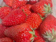 -南京众彩农副产品配送有限公司