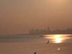 -深圳湾公园(南山区)