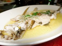 鸡油盐煎白刀鱼-万家宴海鲜大酒楼(五四路店)