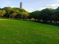 -江心屿景区