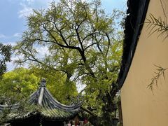 -惠山古镇·寄畅园