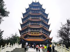 -铁山坪森林公园