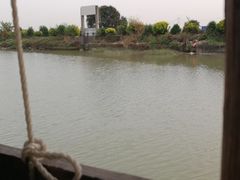 -海鸥岛河景湖大排档