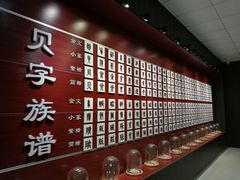 -青岛贝壳博物馆